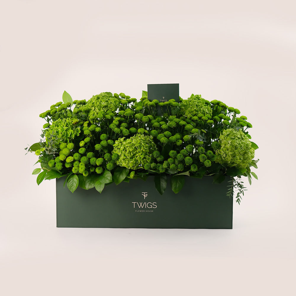 Emerald Garden – Green Hydrangeas & Button Mums in Premium Box - A Lush Display of Vibrant Elegance