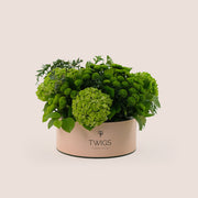 Grande Verdant Bliss Round Box – Green Hydrangeas & Chrysanthemums - A Fresh and Stylish Display of Green Elegance