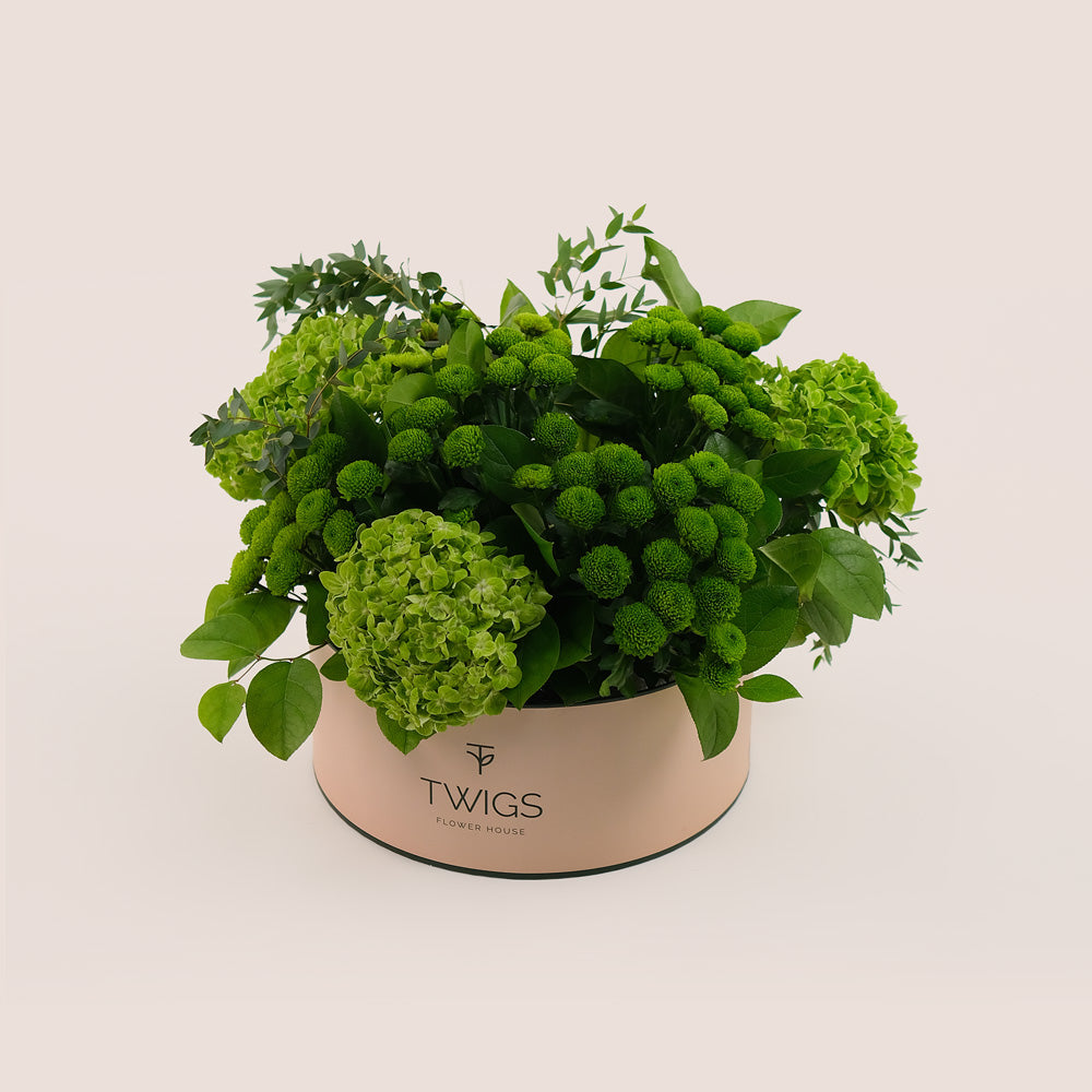 Grande Verdant Bliss Round Box – Green Hydrangeas & Chrysanthemums - A Fresh and Stylish Display of Green Elegance