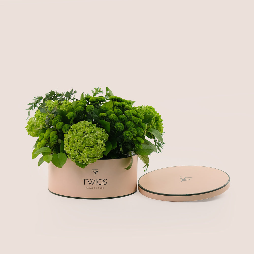 Grande Verdant Bliss Round Box – Green Hydrangeas & Chrysanthemums - A Fresh and Stylish Display of Green Elegance