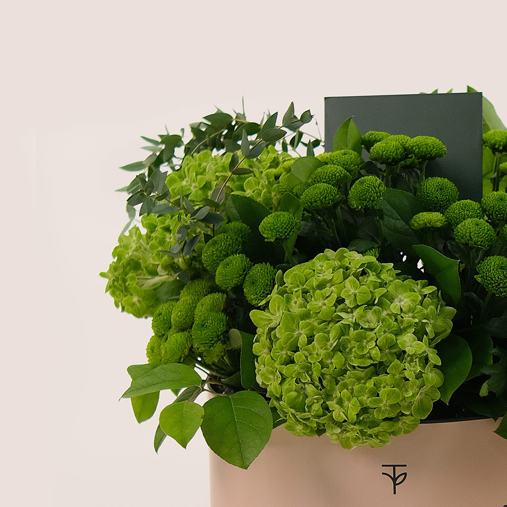 Grande Verdant Bliss Round Box – Green Hydrangeas & Chrysanthemums - A Fresh and Stylish Display of Green Elegance