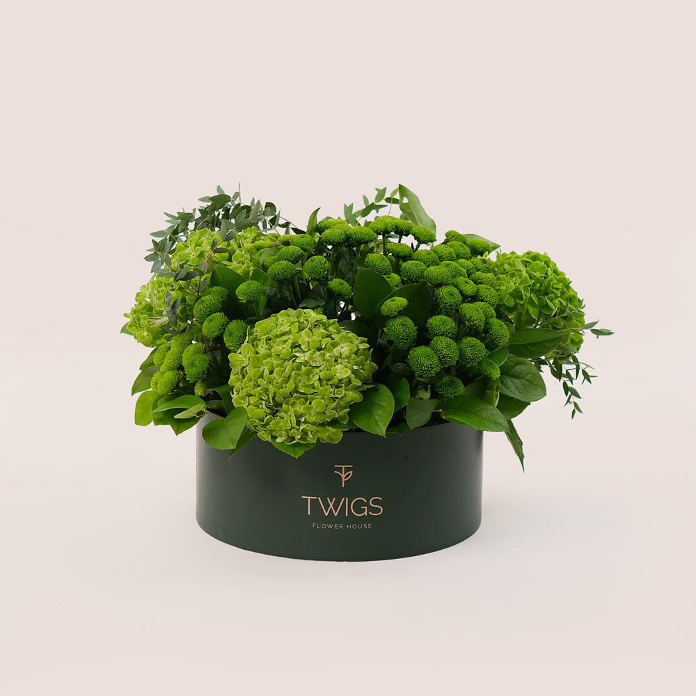 Grande Verdant Bliss Round Box – Green Hydrangeas & Chrysanthemums - A Fresh and Stylish Display of Green Elegance