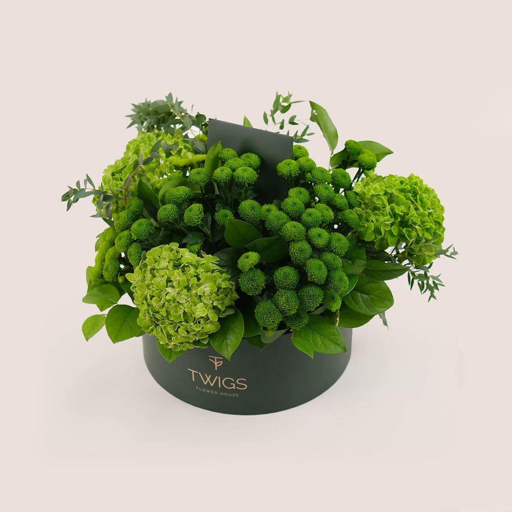 Grande Verdant Bliss Round Box – Green Hydrangeas & Chrysanthemums - A Fresh and Stylish Display of Green Elegance