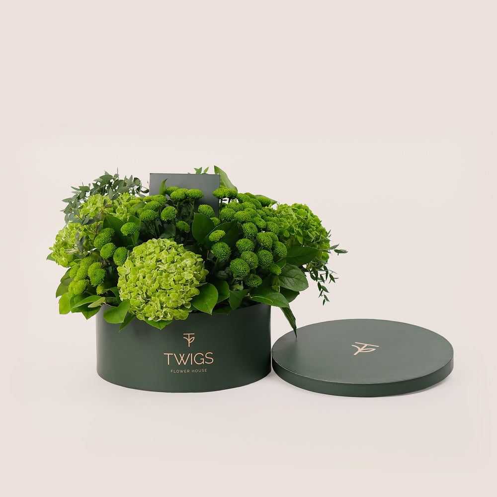 Grande Verdant Bliss Round Box – Green Hydrangeas & Chrysanthemums - A Fresh and Stylish Display of Green Elegance