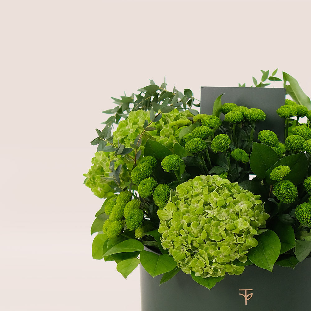 Grande Verdant Bliss Round Box – Green Hydrangeas & Chrysanthemums - A Fresh and Stylish Display of Green Elegance