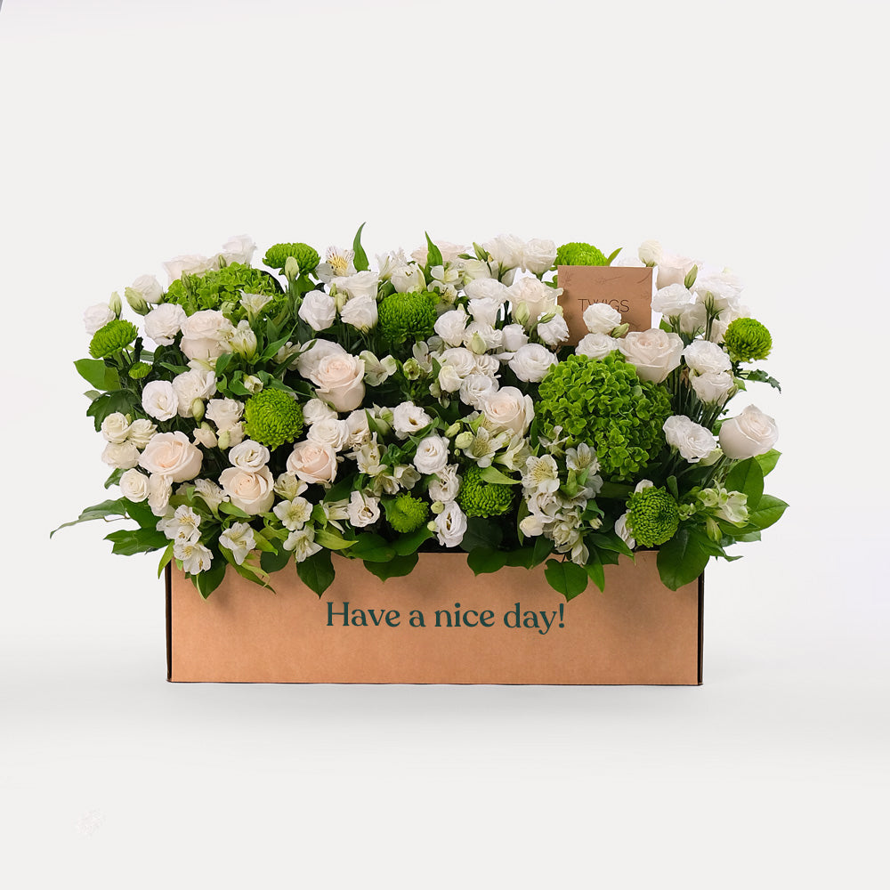 Green and White Flowers Garden Box