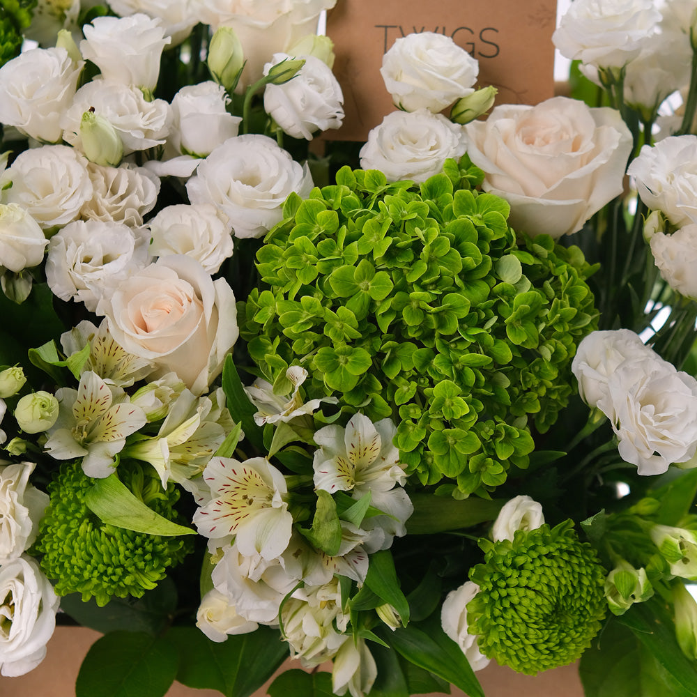 Green and White Flowers Garden Box