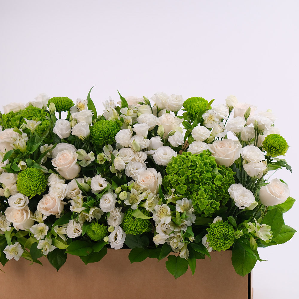 Green and White Flowers Garden Box