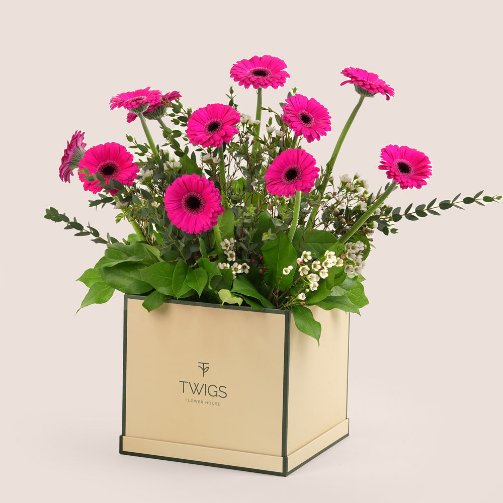 Fuchsia gerbera flower arrangement with fresh greenery in a TWIGS beige or green square box, available for same day flower delivery in Dubai when you buy flowers online.