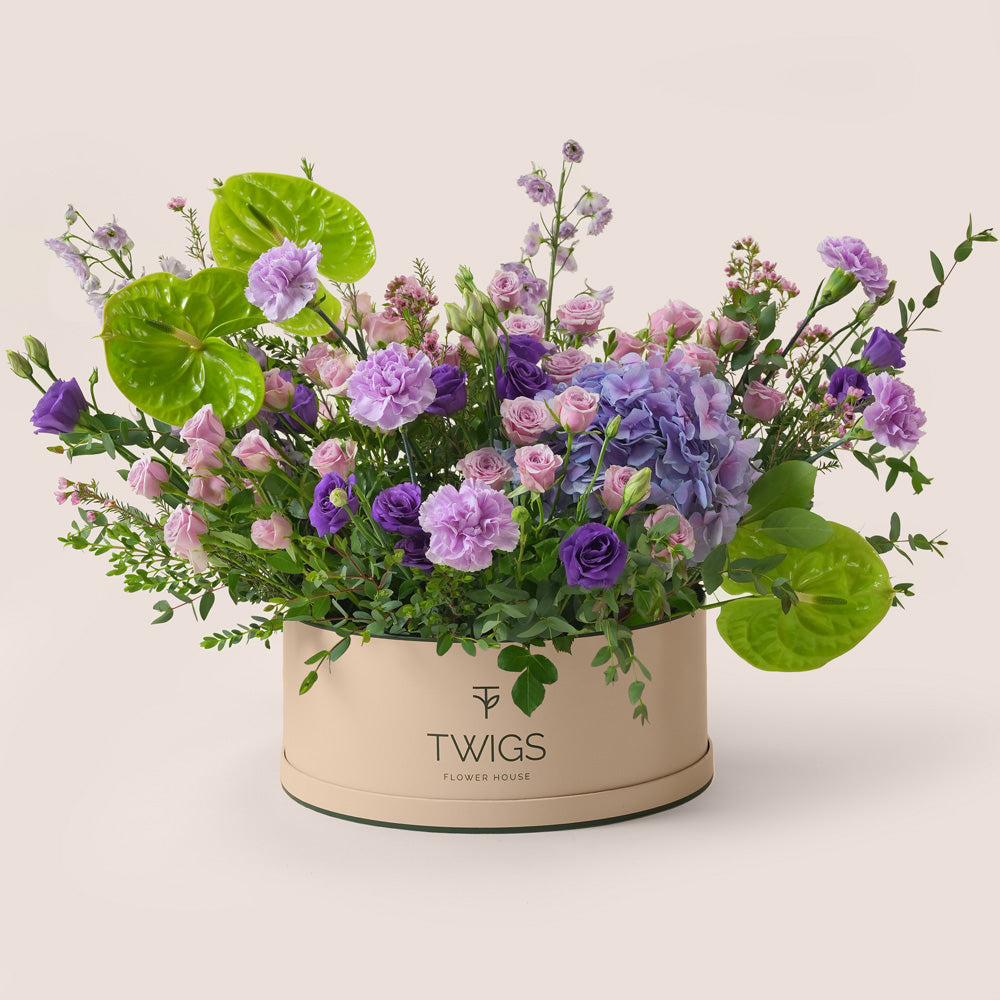 Purple hydrangea and green anthurium grande round flower box by TWIGS