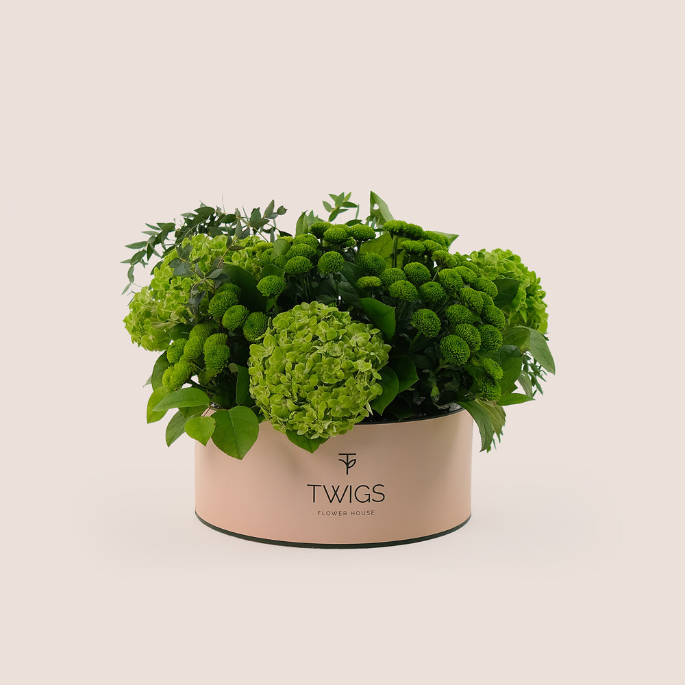 A round box of green hydrangeas and chrysanthemums arranged by TWIGS, with a beige or light green background and green foliage.