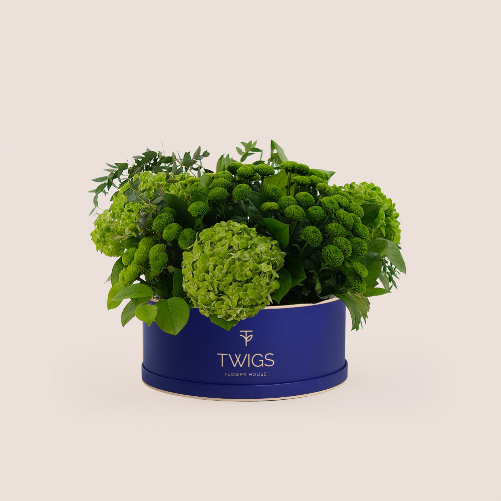 Grande Verdant Bliss Round Box – Green Hydrangeas & Chrysanthemums - A Fresh and Stylish Display of Green Elegance