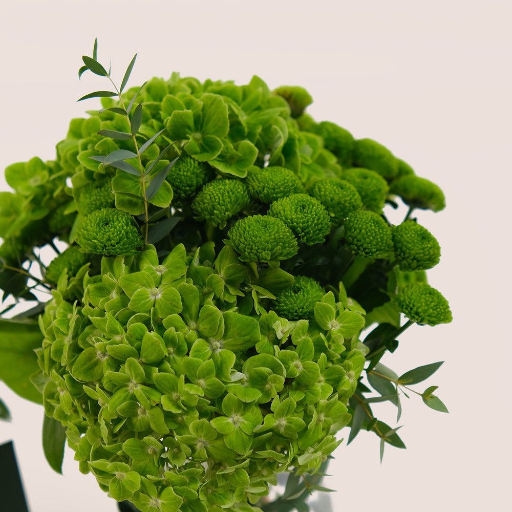 Green Harmony – Petite Vase with Hydrangeas & Chrysanthemums -