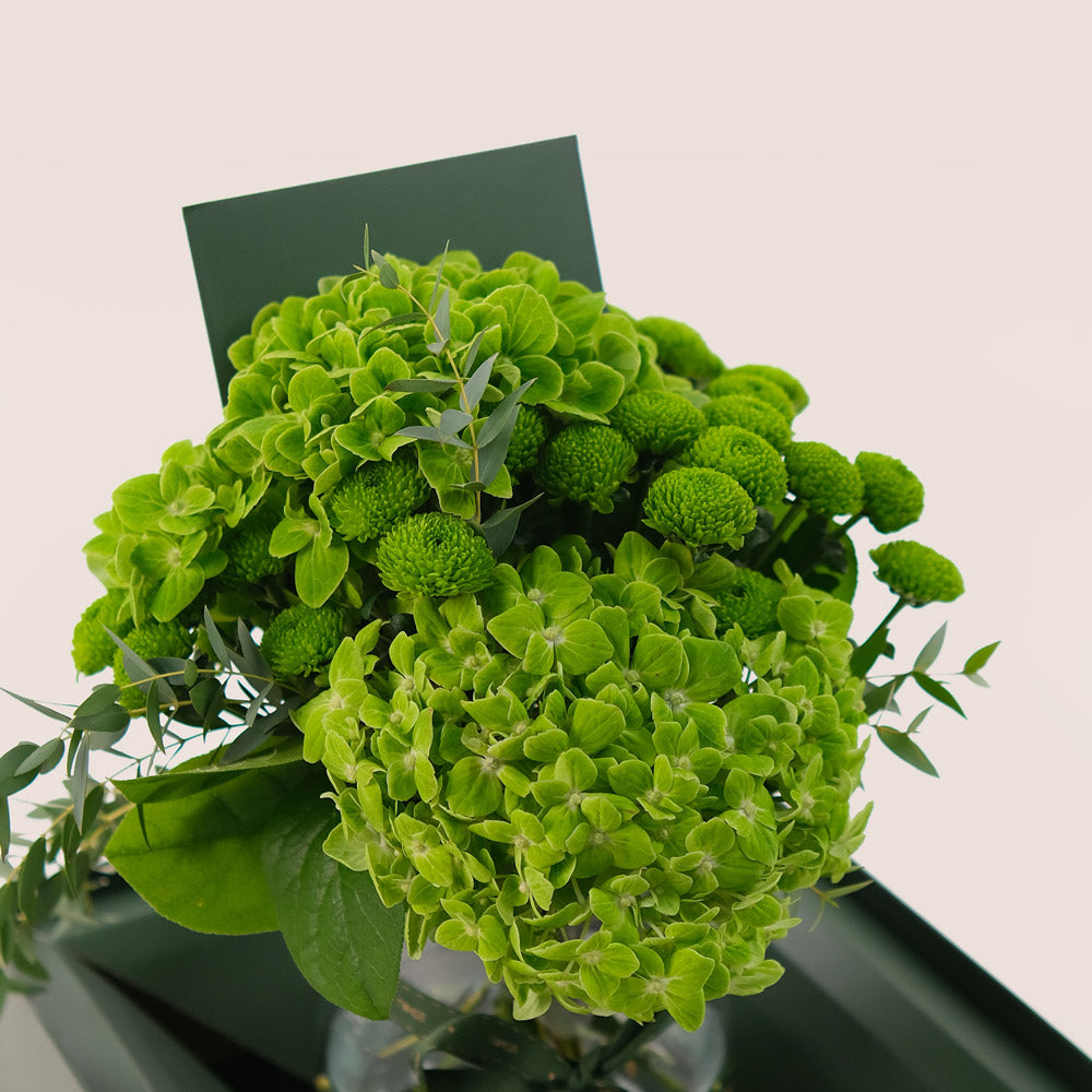 Green Harmony – Petite Vase with Hydrangeas & Chrysanthemums -