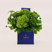 Verdant Charm – Green Hydrangeas & Button Mums in Signature Box - A Refreshing Floral Gift of Natural Elegance