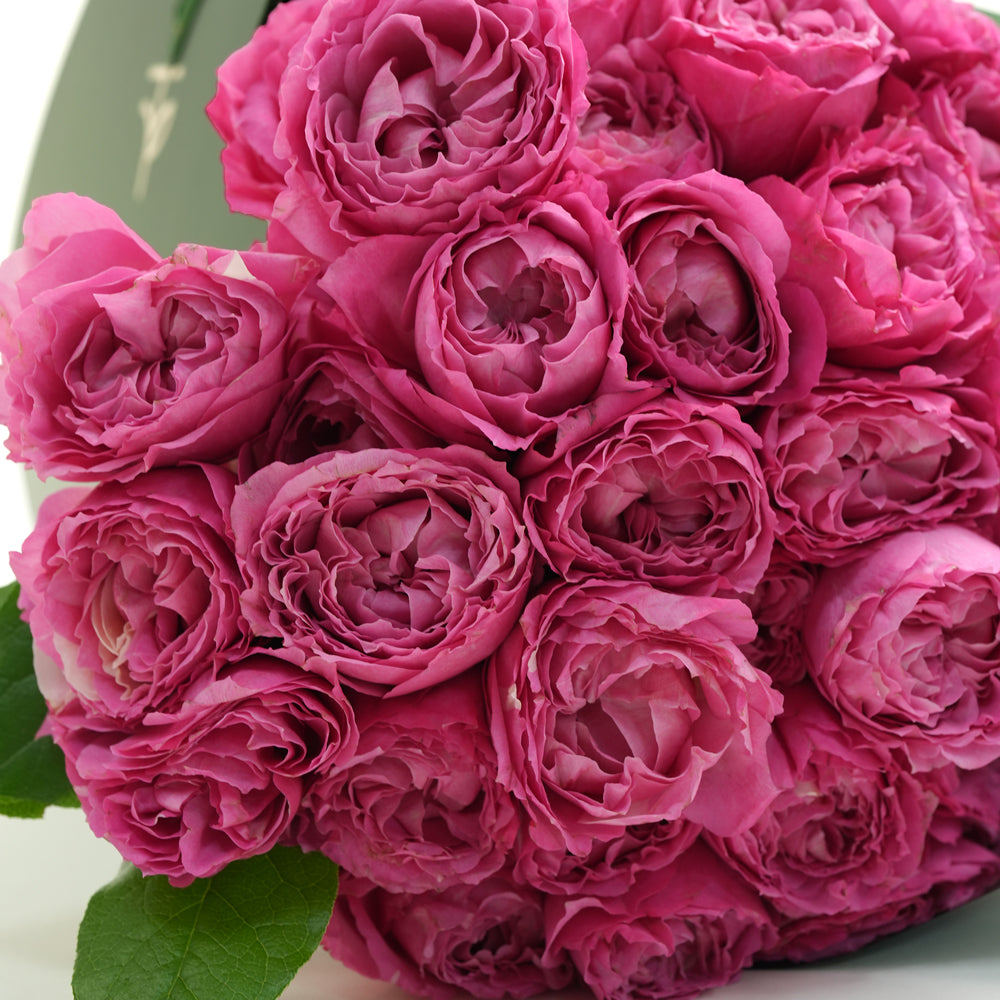 Cerise Charm Bunch - Juliet Cerise Roses Bouquet | Premium Hand Bouquet Dubai & UAE