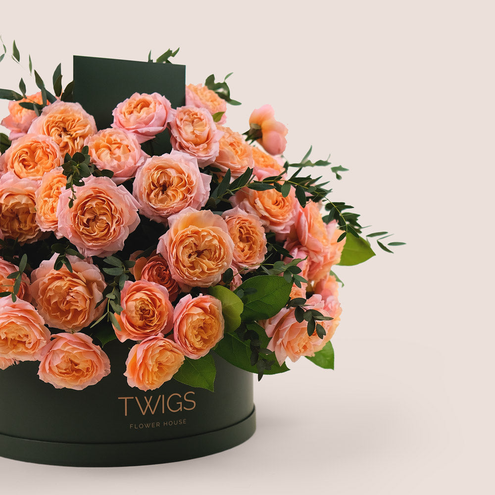 Grande Peach Juliet Spray Roses Round Box – A Luxurious Display of Soft Peach Elegance