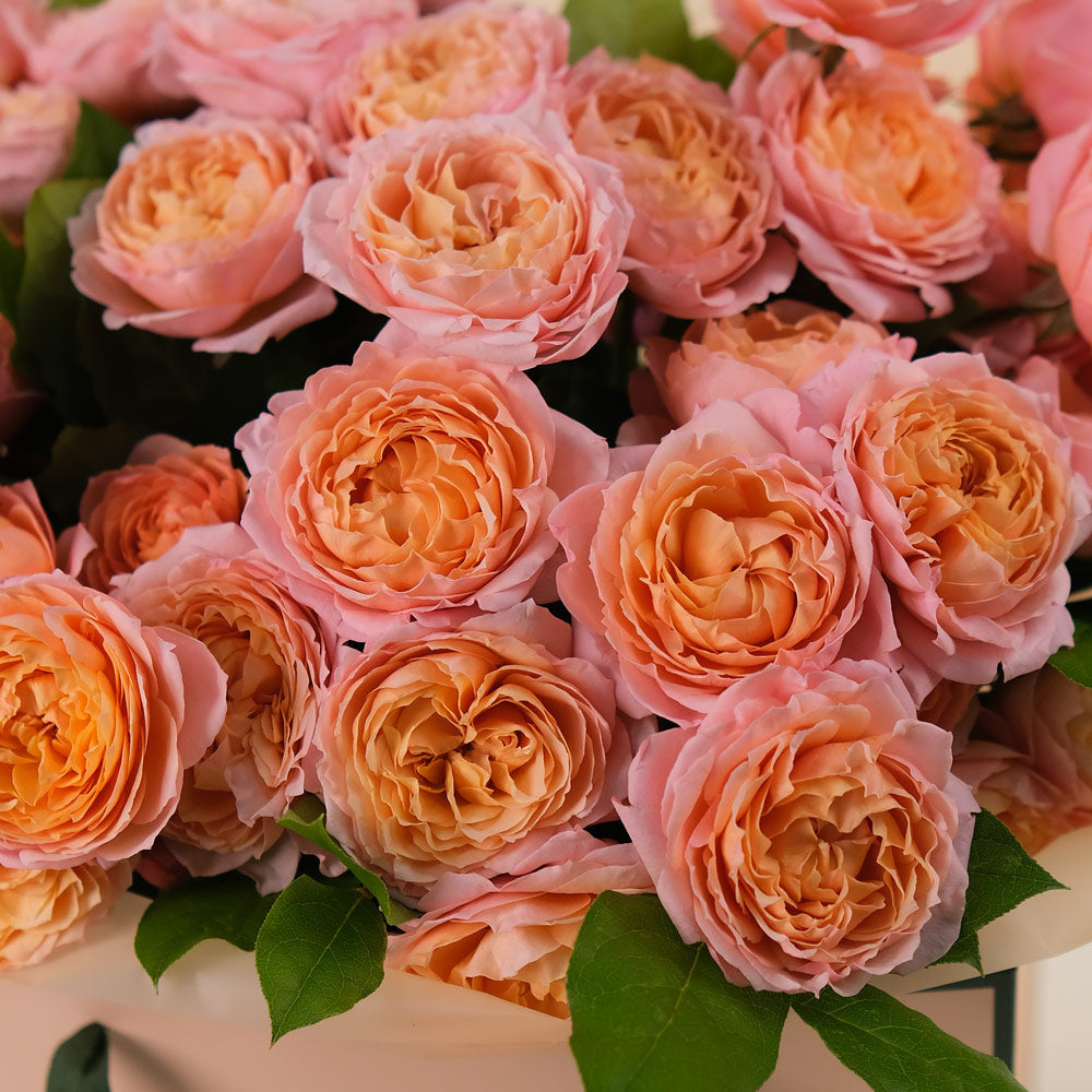 Peach Juliet Spray Roses Hand-Tied Bouquet – Soft Elegance in a Chic TWIGS Flower Bag