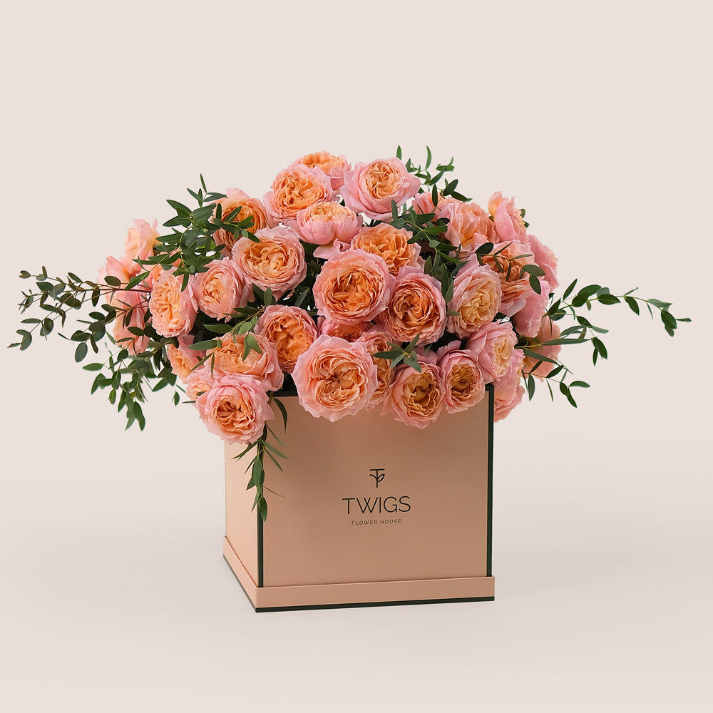 Peach Juliet Spray Roses in TWIGS Flower Box – A Timeless Gift of Soft Elegance