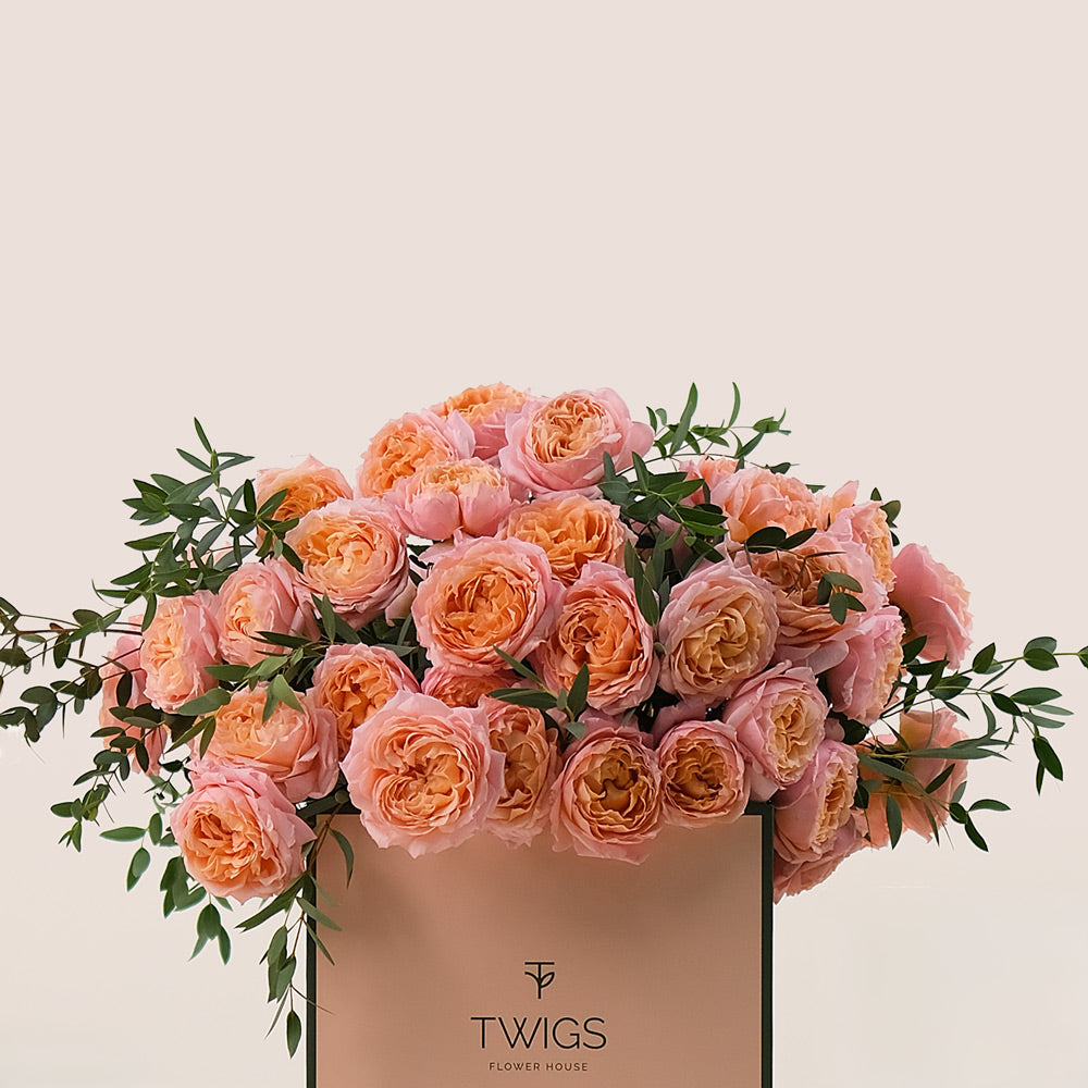 Peach Juliet Spray Roses in TWIGS Flower Box – A Timeless Gift of Soft Elegance