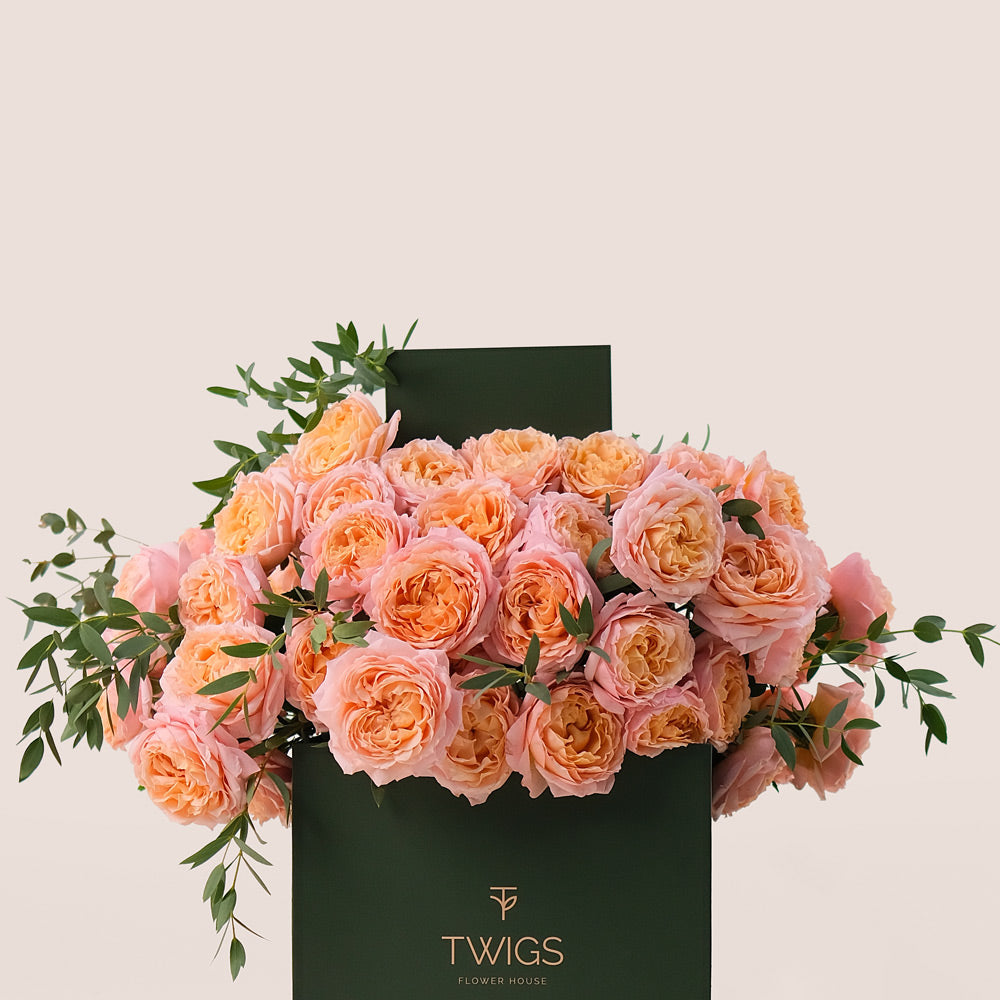 Peach Juliet Spray Roses in TWIGS Flower Box – A Timeless Gift of Soft Elegance