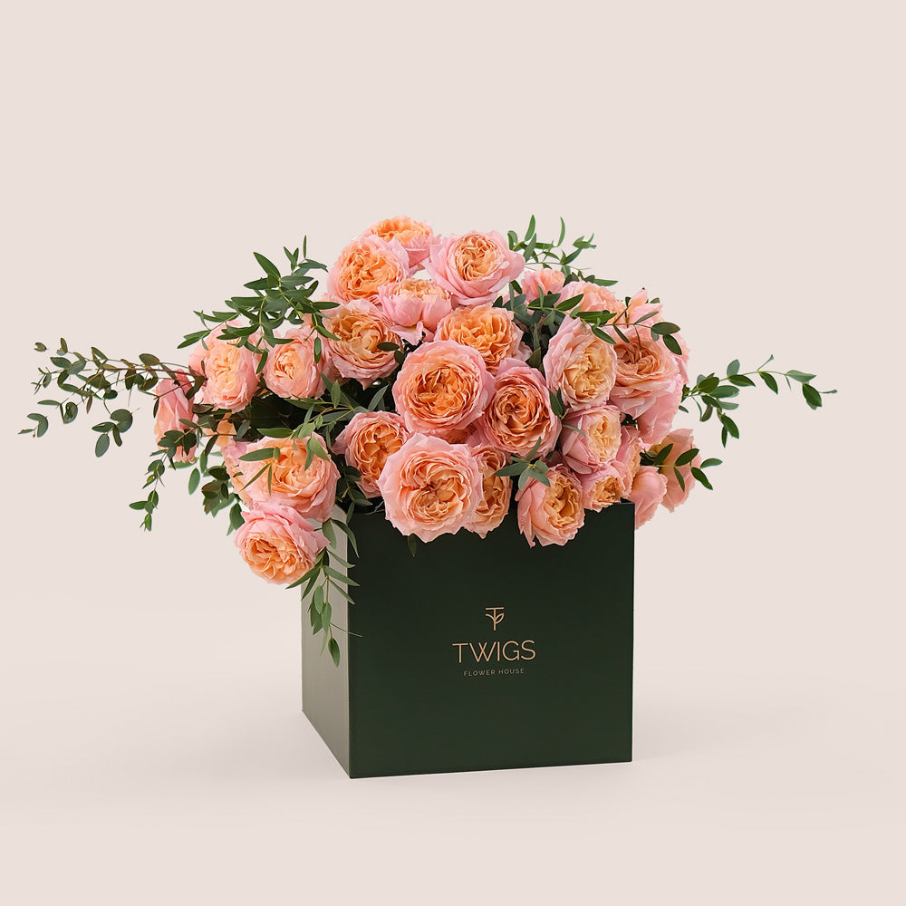 Peach Juliet Spray Roses in TWIGS Flower Box – A Timeless Gift of Soft Elegance