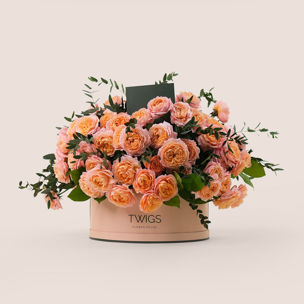 Grande Peach Juliet Spray Roses Round Box – A Luxurious Display of Soft Peach Elegance