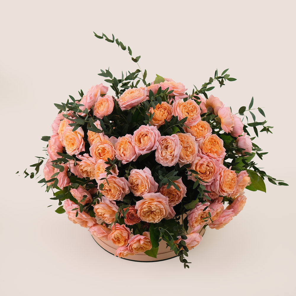 Grande Peach Juliet Spray Roses Round Box – A Luxurious Display of Soft Peach Elegance