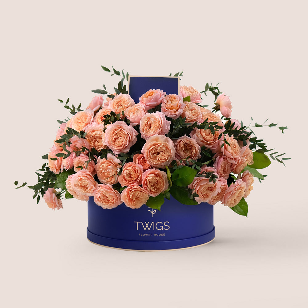 Grande Peach Juliet Spray Roses Round Box – A Luxurious Display of Soft Peach Elegance