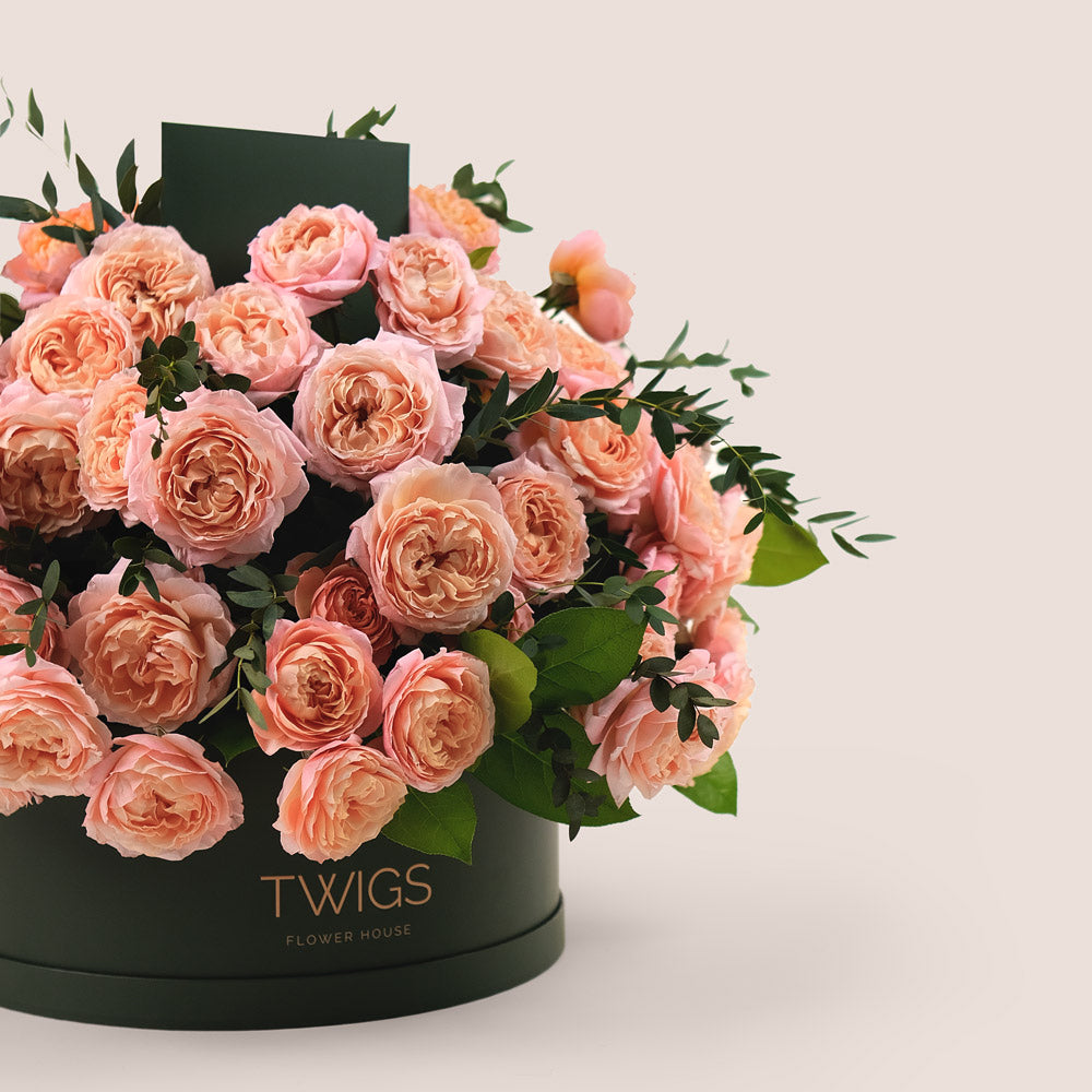 Grande Peach Juliet Spray Roses Round Box – A Luxurious Display of Soft Peach Elegance