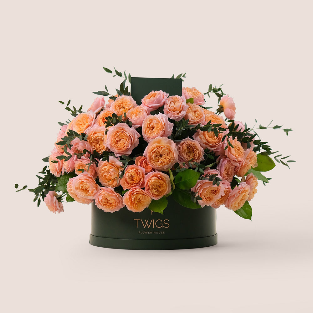 Grande Peach Juliet Spray Roses Round Box – A Luxurious Display of Soft Peach Elegance