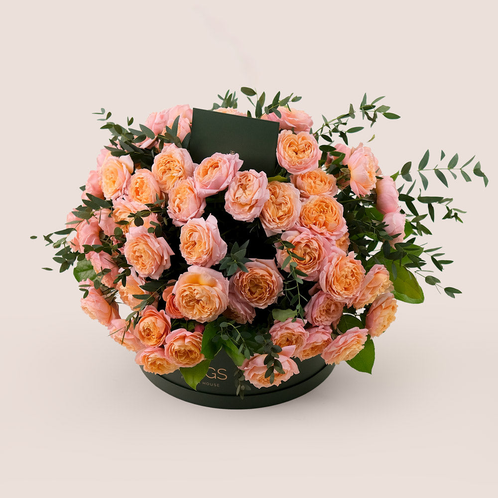 Grande Peach Juliet Spray Roses Round Box – A Luxurious Display of Soft Peach Elegance