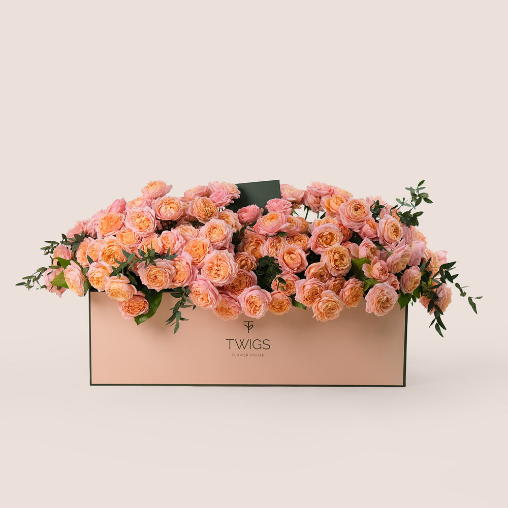 Peach Juliet Roses in Luxurious Flower Box – A Blooming Bed of Soft Elegance