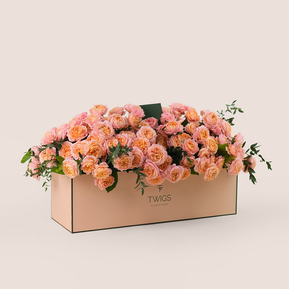 Peach Juliet Roses in Luxurious Flower Box – A Blooming Bed of Soft Elegance