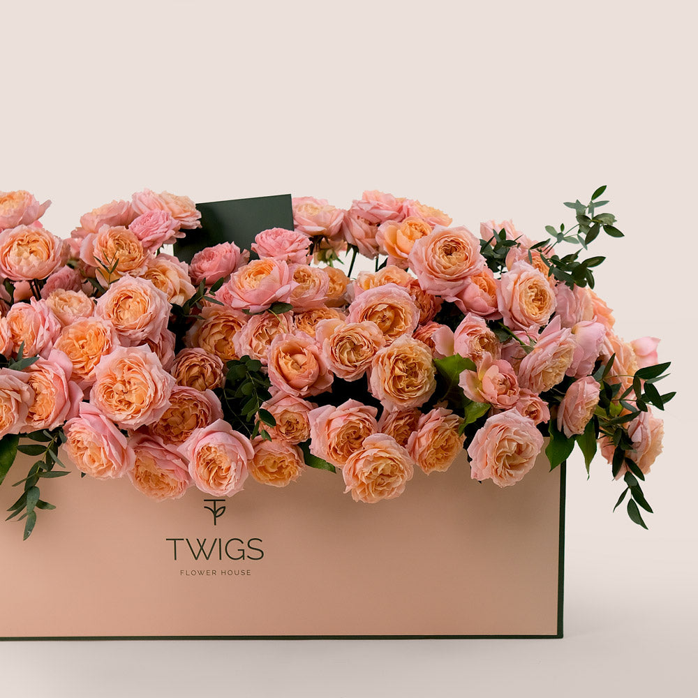 Peach Juliet Roses in Luxurious Flower Box – A Blooming Bed of Soft Elegance