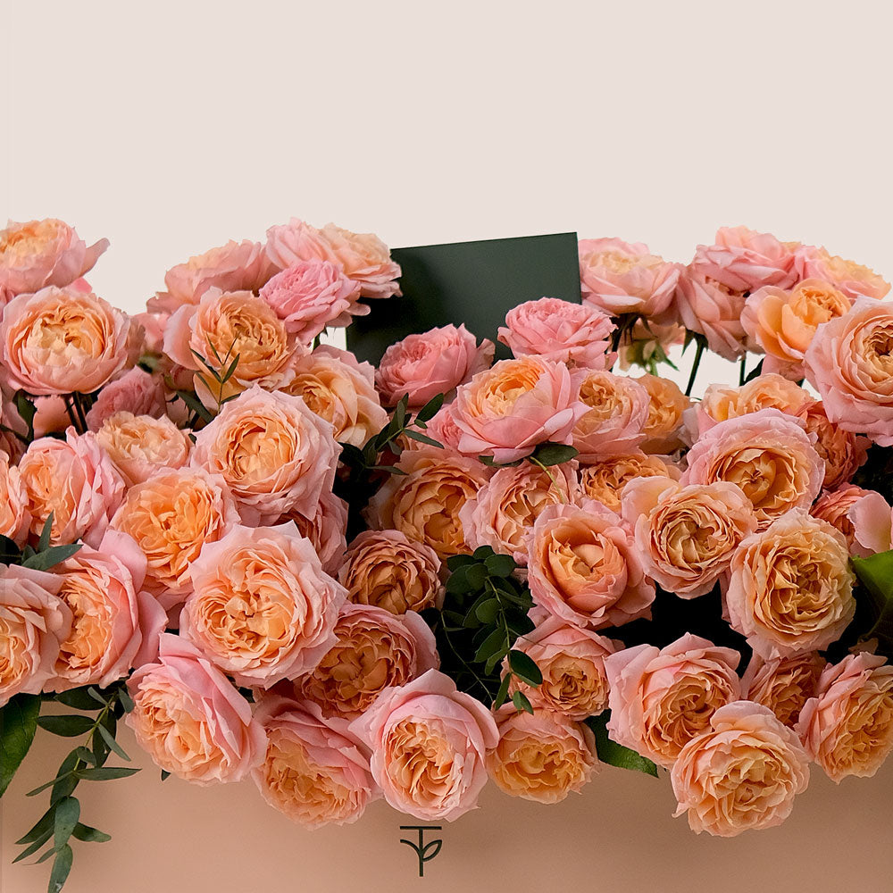 Peach Juliet Roses in Luxurious Flower Box – A Blooming Bed of Soft Elegance