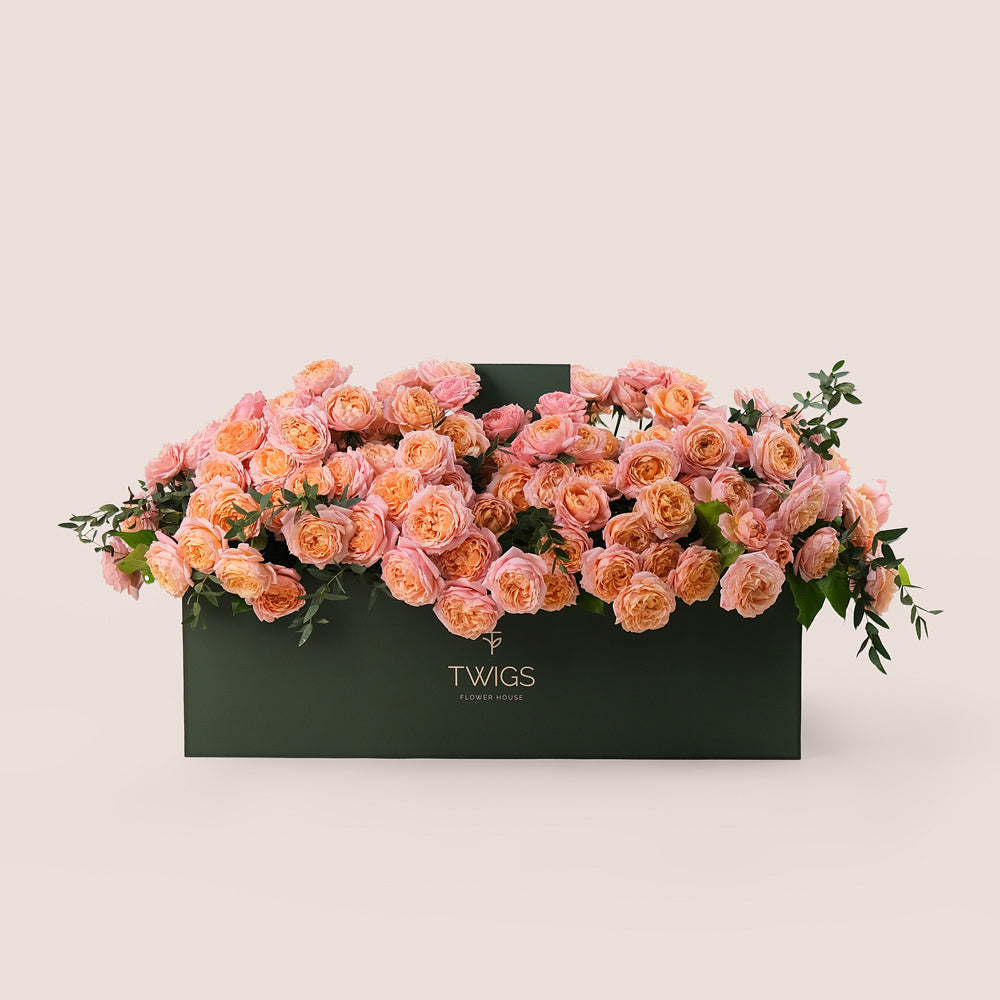 Peach Juliet Roses in Luxurious Flower Box – A Blooming Bed of Soft Elegance