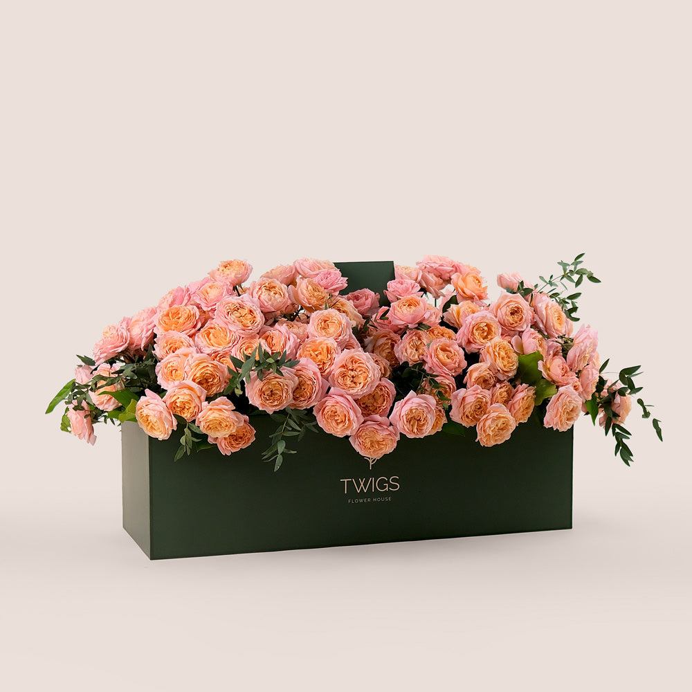 Peach Juliet Roses in Luxurious Flower Box – A Blooming Bed of Soft Elegance