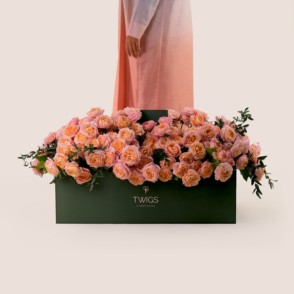 Peach Juliet Roses in Luxurious Flower Box – A Blooming Bed of Soft Elegance