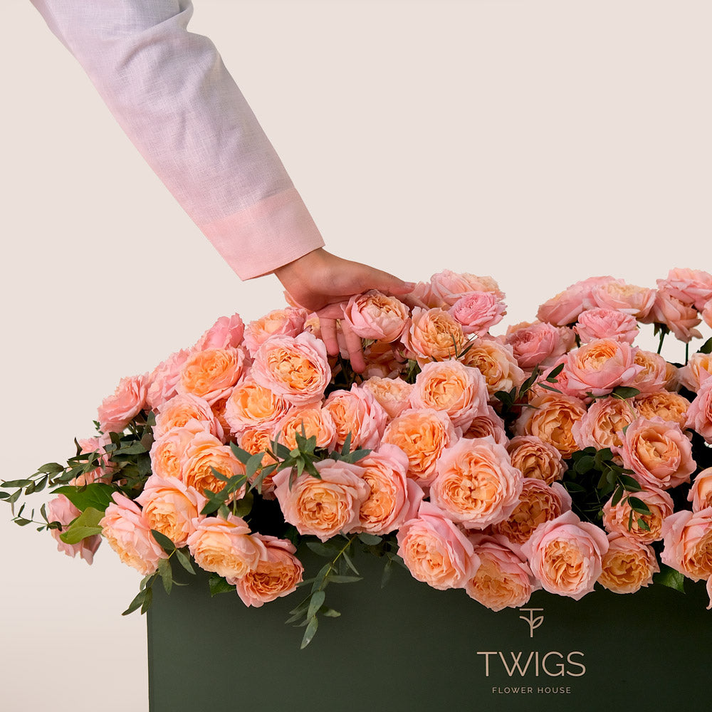 Peach Juliet Roses in Luxurious Flower Box – A Blooming Bed of Soft Elegance