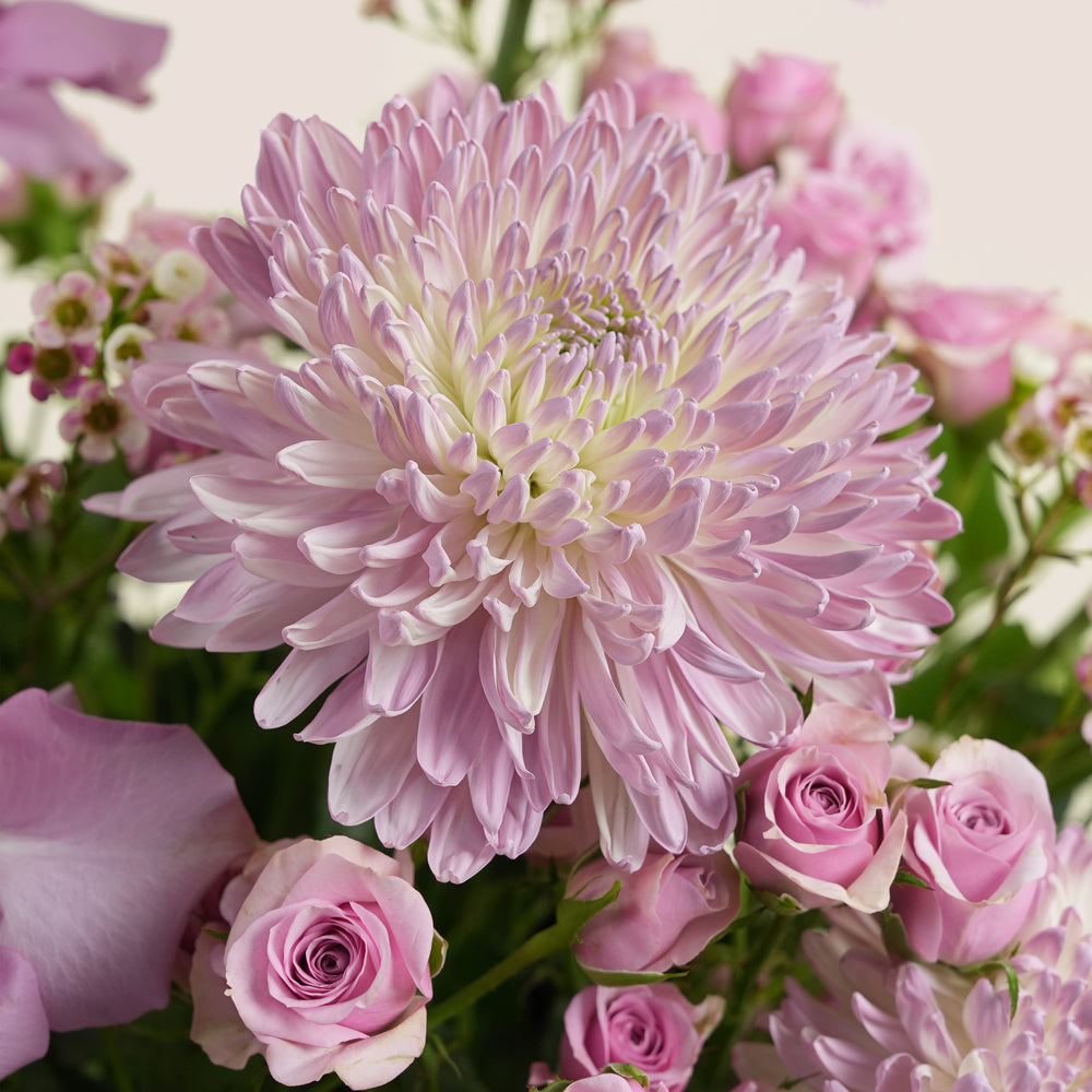 Emirati Women's Day lavender roses and purple chrysanthemums arranged in a TWIGS Grande round box, Green and Beige options