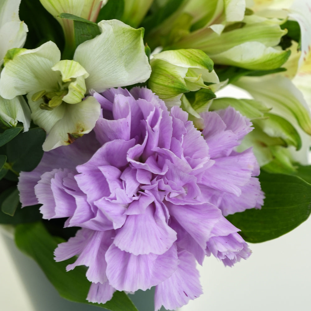 Lavender Matcha flowers with Balloons | 