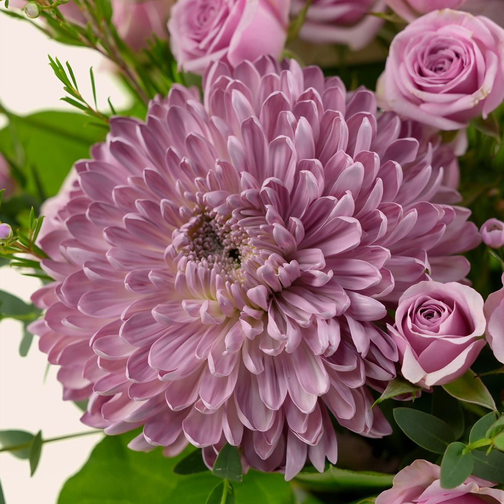 Emirati Women's Day lavender roses and purple chrysanthemums arranged in a TWIGS Deluxe round box, Green and Beige options