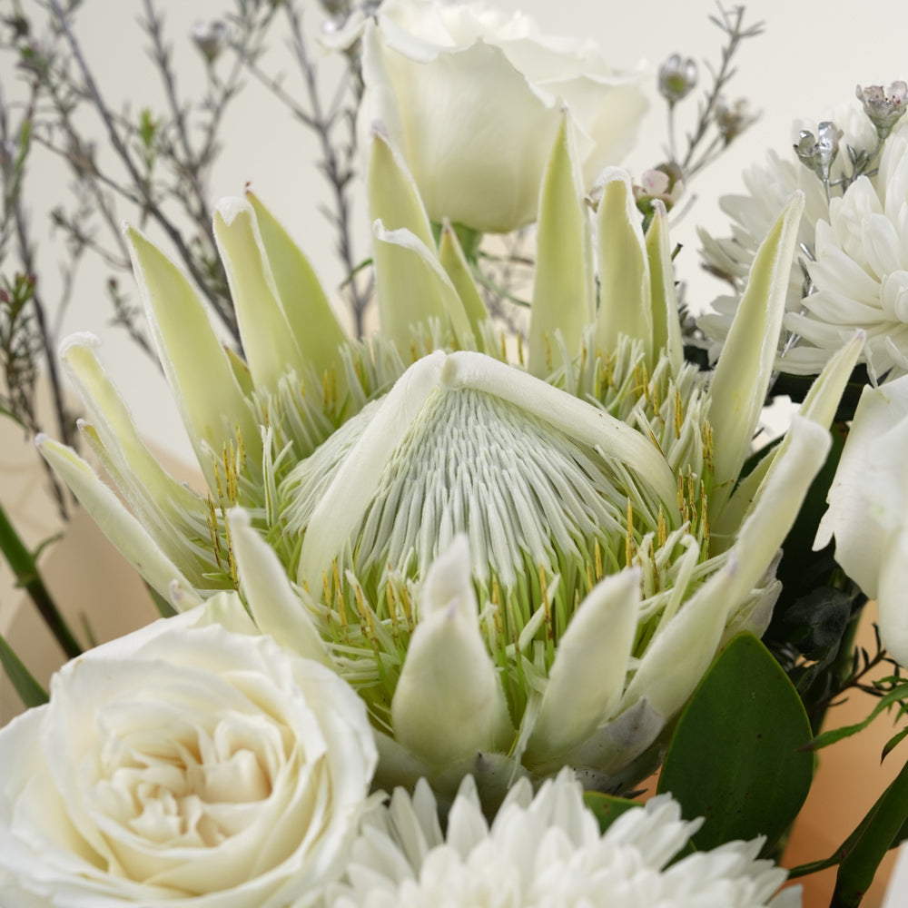 Luxury White Protea New Year Celebration Bundle | New Year Flowers Dubai