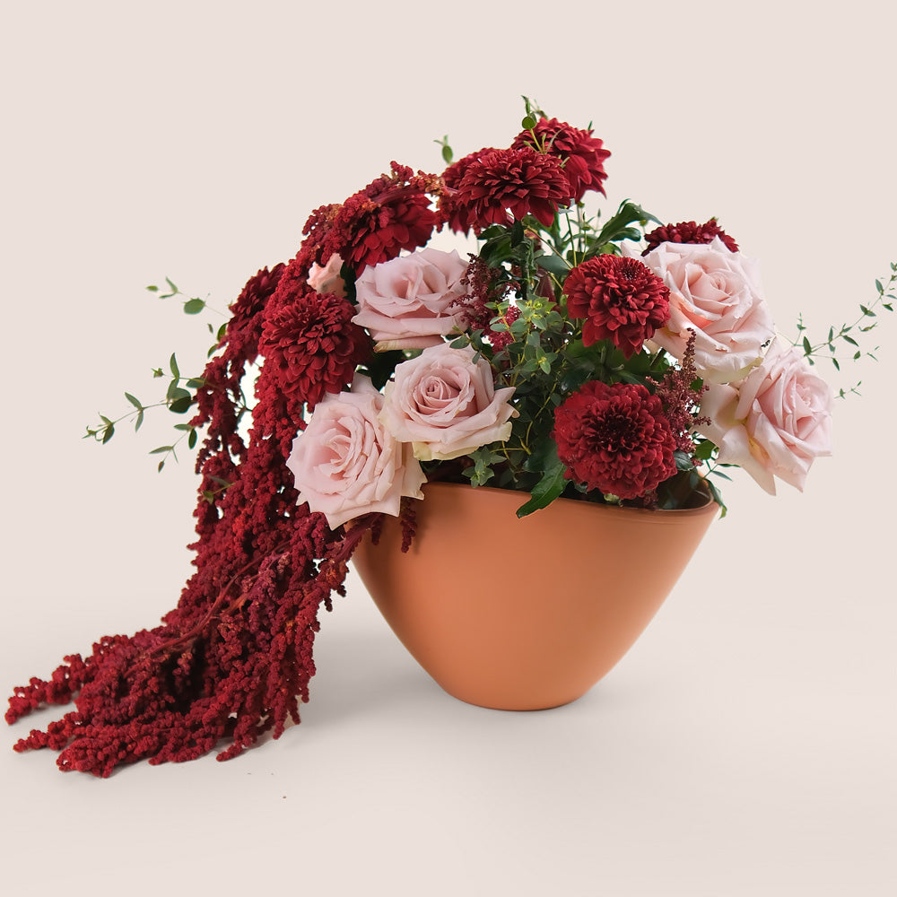 Manar’s Choice – Burgundy Deco Mums & Quicksand Roses in Coral Ceramic Vase