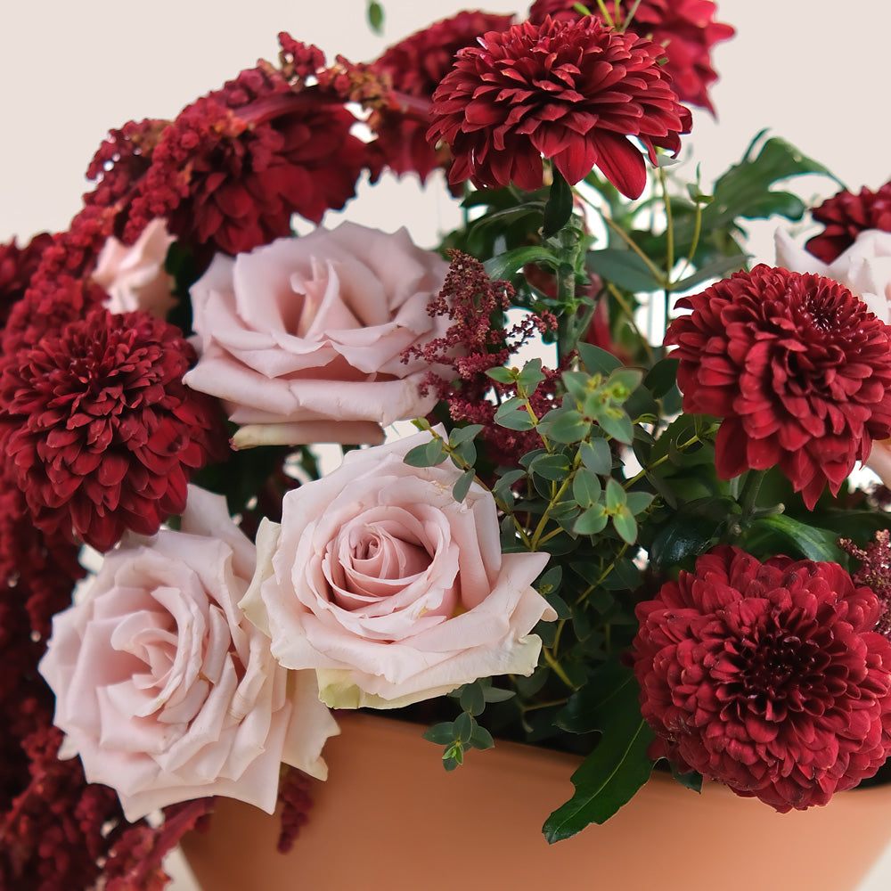 Manar’s Choice – Burgundy Deco Mums & Quicksand Roses in Coral Ceramic Vase