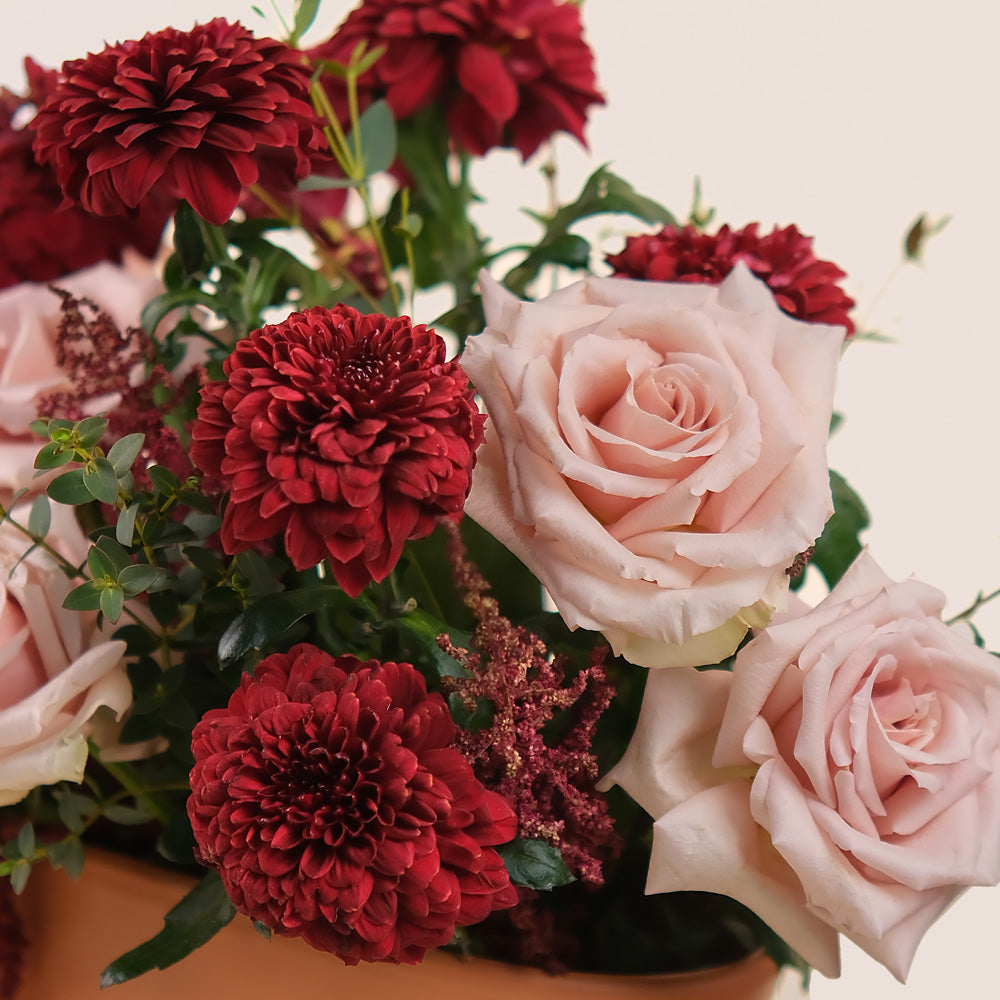 Manar’s Choice – Burgundy Deco Mums & Quicksand Roses in Coral Ceramic Vase