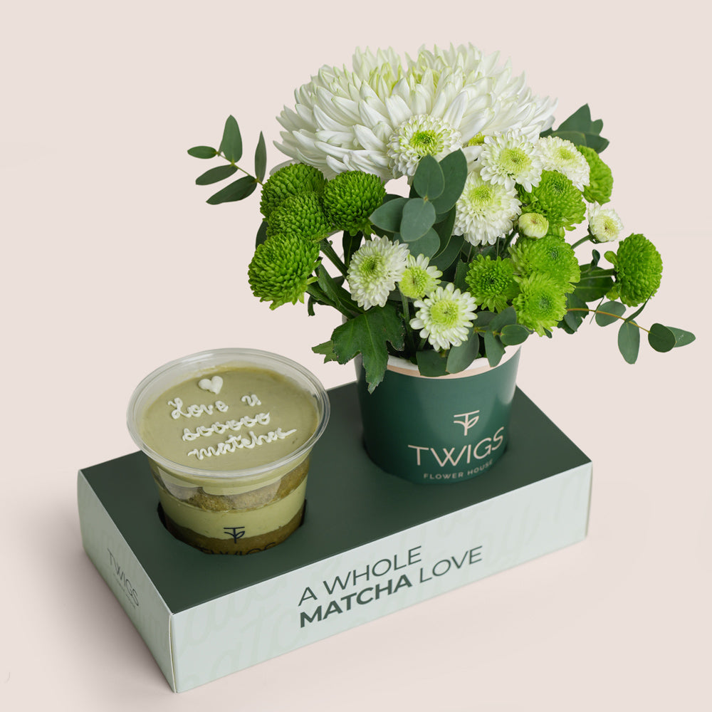 I Love U Soooo Matcha Duo | Chrysanthemum Cup with Cake in Cup