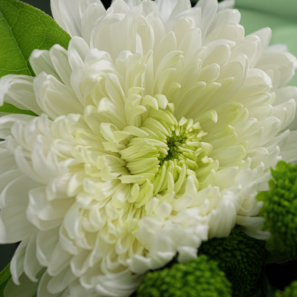 Matcha with flowers and matcha cake 
