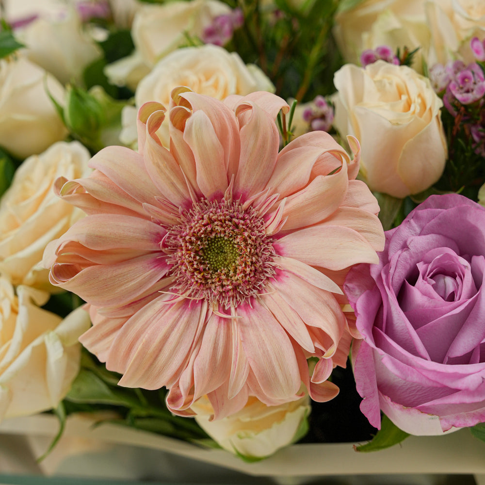 Peach Harmony Mother’s Day flower arrangement with peach gerberas and roses in TWIGS signature flower bag